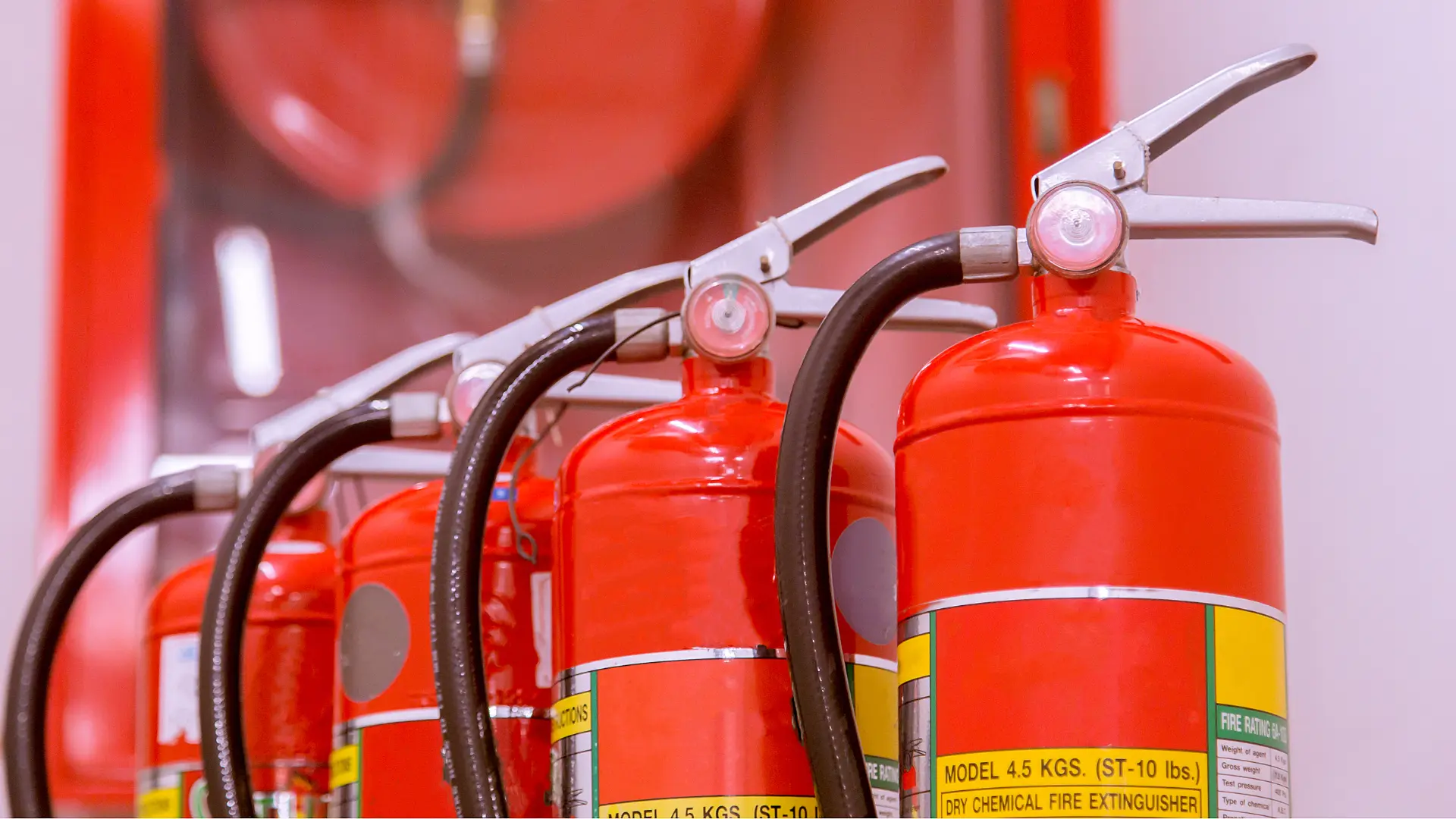 Row of serviced red fire extinguishers beside a fire equipment cabinet in Port Stephens